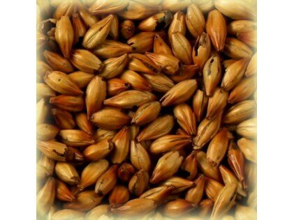 Солод Шато Спешл Би, Special B ®, 1 кг. Castle Malting ® 300 EBC