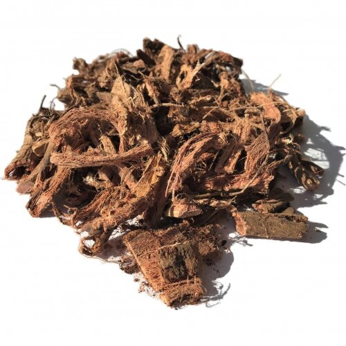 Красный корень Алтайский