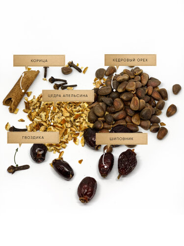 Кедровка Алтайская