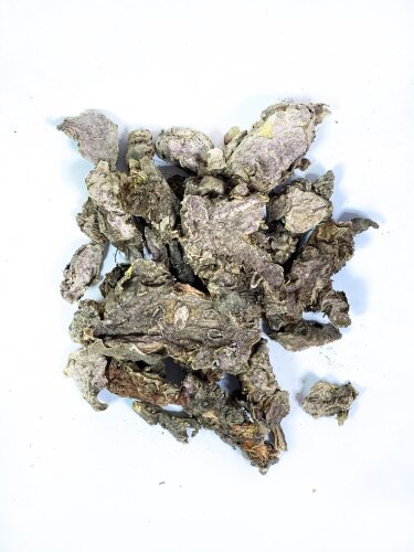 Золотой корень Алтайский