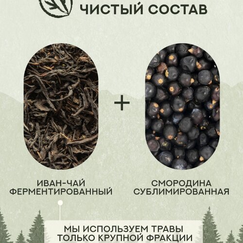 Иван чай со смородиной